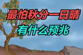 “最怕秋分一日晴”，9月22日秋分，晴天有什么预兆？看农谚咋说视频封面