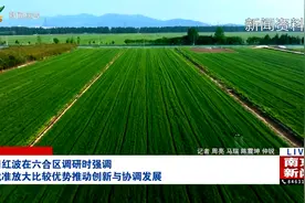 周红波在六合区调研时强调 找准放大比较优势推动创新与协调发展视频封面