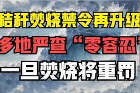 秸秆焚烧禁令再升级！多地严查“零容忍”，一旦焚烧将重罚视频封面