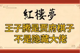 红楼梦：王子腾不是隐藏大佬！他是贾府手下的棋子，一直攀附吸血