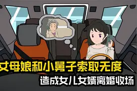 丈母娘和小舅子索取无度，造成女儿女婿离婚收场，女婿做法太解气视频封面