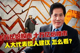十万亿给股市，十万亿给楼市，人大代表惊人建议，怎么看？视频封面