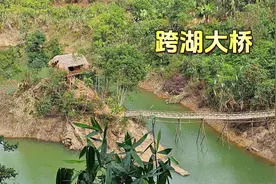 农村姑娘野外修建跨湖大桥，整个建造过程让人惊艳视频封面