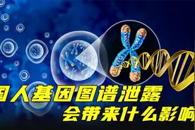 敲响安全警钟！中国人基因图谱被公布，会带来什么影响视频封面
