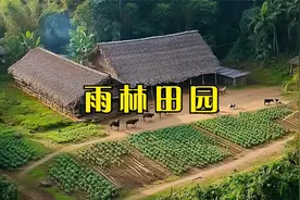 男子在雨林中发现废弃木屋，将其改造成热带雨林中的田园视频封面