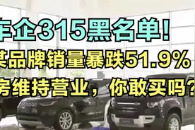 车企黑名单！某品牌销量暴跌.%，卖房维持营业，你敢买吗？视频封面