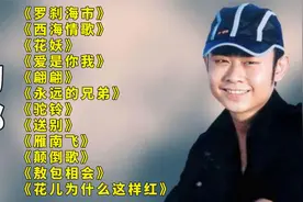 刀郎最火的十首精选歌曲，深情好听的歌声，值得循环播放！(1)视频封面