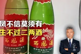 西凤不信莫须有，人生不过二两酒视频封面