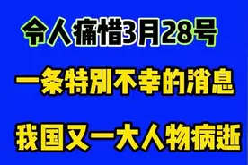 痛惜！我国又一伟大人物于3月28日逝世视频封面