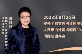 美元全球支付占比创纪录新高，人民币占比再超3%，风险机遇并存视频封面