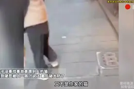 女子故意踢别人猫，碰到硬茬被人一路讨说法，最后破大防了视频封面