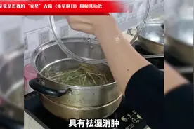 狗尾巴草竟是近视的“克星”古籍《本草纲目》揭秘其功效视频封面