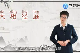 大相径庭是什么意思，大相径庭视频封面