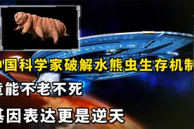 中国科学家破解水熊虫生存机制，竟能不老不死，基因表达更是逆天视频封面