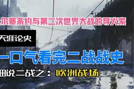 一口气看完二战欧洲战场：第二次世界大战爆发的导火索视频封面