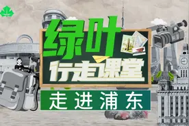 《绿叶行走课堂》——“走进浦东”之傅雷小学视频封面