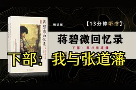民国才女蒋碧微与画家徐悲鸿和民国党高管张道藩之间的爱情故事。视频封面
