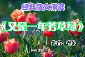 品读文学经典：老舍《又是一年芳草绿》散文朗诵视频封面