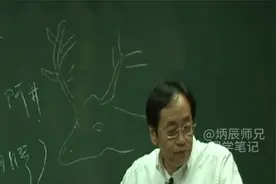 倪海厦：鸡的全身都是宝视频封面