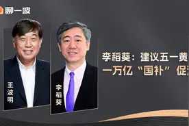 李稻葵：建议五一黄金周一万亿“国补” 促消费视频封面
