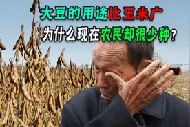 每年进口接近一亿吨，中国对大豆需求旺盛！为什么不自给自足？视频封面