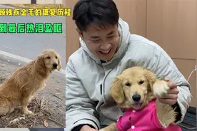 回顾残疾狗狗康复历程，大尧努力没有白费，最后片段看的热泪盈眶视频封面
