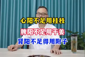 心阳不足用桂枝，脾阳不足用干姜，肾阳不足得用附子视频封面
