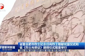安徽省暨合肥市烈士纪念日向烈士敬献花篮仪式举行视频封面