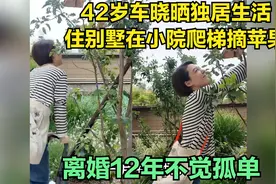 42岁车晓晒独居生活，住别墅在小院爬梯摘苹果，离婚12年不觉孤单视频封面
