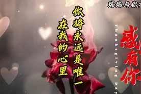在我的心里，你将永远是唯一视频封面