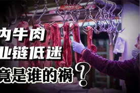 进口牛肉被立案调查！国内牛肉养殖户活不下去，究竟是谁的锅？视频封面