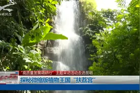 “高质量发展调研行”走进昆明 探秘微缩版植物王国“扶荔宫”视频封面