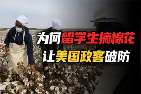 地狱笑话：北大一张黑人白人采棉花照片，让美国政客集体破防视频封面