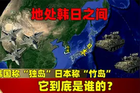 地处韩日之间，韩国称“独岛”日本称“竹岛”，它到底是谁的？视频封面