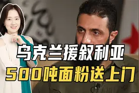 大马士革要倒向西方？乌克兰援叙、500吨面粉送上门，德也有行动视频封面