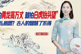“不怕青龙高万丈，就怕白虎抬头望”什么意思？古人的智慧了不得视频封面
