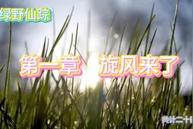 绿野仙踪：第一章，旋风来了视频封面