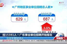招15381人！广东事业单位招聘开始报名视频封面