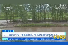黑龙江宁安：遭遇强对流天气，当地开展灾后自救工作视频封面