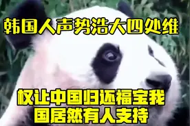 韩国人声势浩大四处维权，让中国归还福宝！我国居然有人支持？视频封面