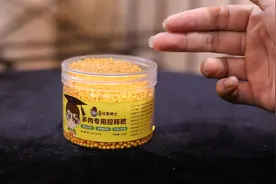 养多肉植物用什么样的肥料？园艺师教你，用多肉专用控释肥视频封面