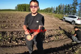 看看土豆大户种植几千亩土豆赚不赚钱，土豆从种到收这么娇贵复杂视频封面