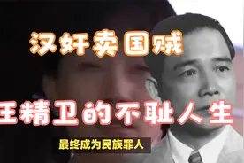 从革命到反动的汉奸卖国贼汪精卫传奇视频封面