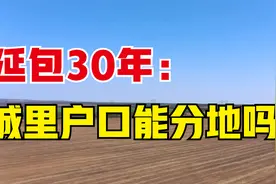 二轮承包到期延包30年，户口迁入城里还能分地吗？新法有定论了视频封面