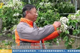 昌邑：农技专家深入田间地头，专业技术指导，保障农业有序开展视频封面