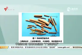 老人欲购“海风藤” 却误服“断肠草”不治身亡 中药师提醒视频封面