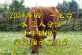 2024年的“一龙治水，三人分饼，十牛耕田”，究竟预示了什么视频封面