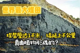 煤层厚达1千米，绵延上千公里！世界最大煤田真的是植物形成的？视频封面