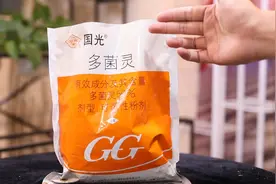 养花生了病害怎么办？园艺师教你，用多菌灵，防治各种植物病菌视频封面