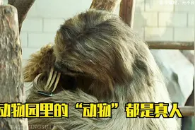 你敢相信吗？动物园里的“动物”都是真人！视频封面